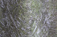 Culpho fibreglass roof work